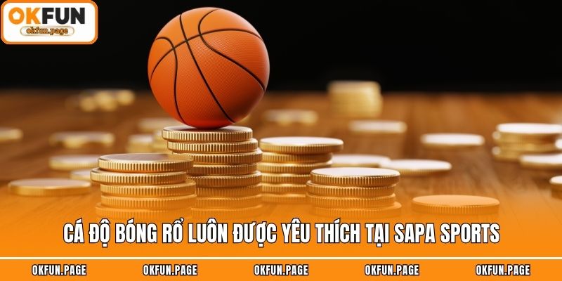 Cá độ bóng rổ luôn được yêu thích tại SAPA Sports