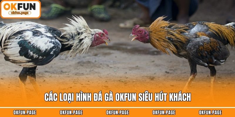 Các loại hình đá gà OKFUN siêu hút khách