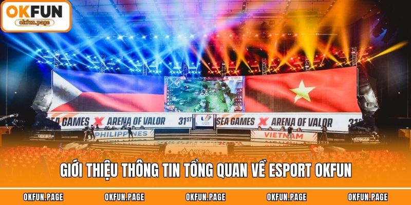 Giới thiệu thông tin tổng quan về Esport OKFUN